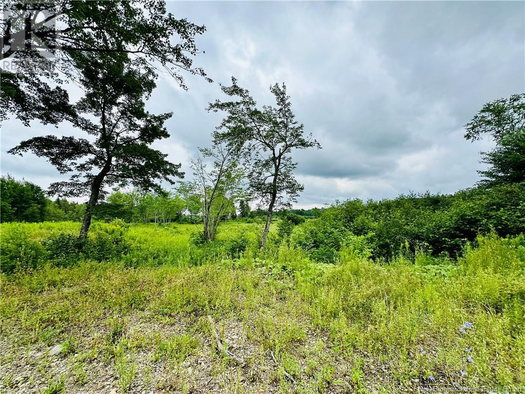 Lot 02-1 Slater Road, Maxwell, New Brunswick  E7N 2Z8 - Photo 17 - NB102955