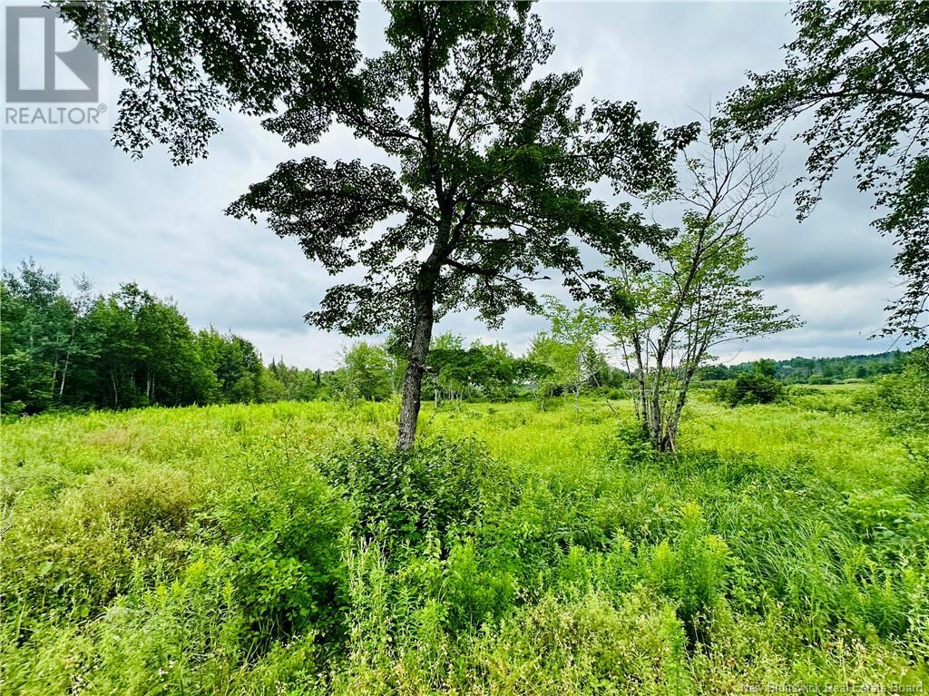 Lot 02-1 Slater Road, Maxwell, New Brunswick  E7N 2Z8 - Photo 24 - NB102955