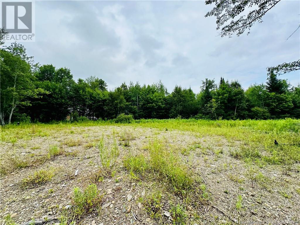 Lot 02-1 Slater Road, Maxwell, New Brunswick  E7N 2Z8 - Photo 32 - NB102955