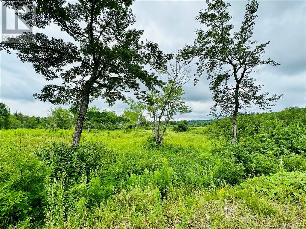 Lot 02-1 Slater Road, Maxwell, New Brunswick  E7N 2Z8 - Photo 35 - NB102955