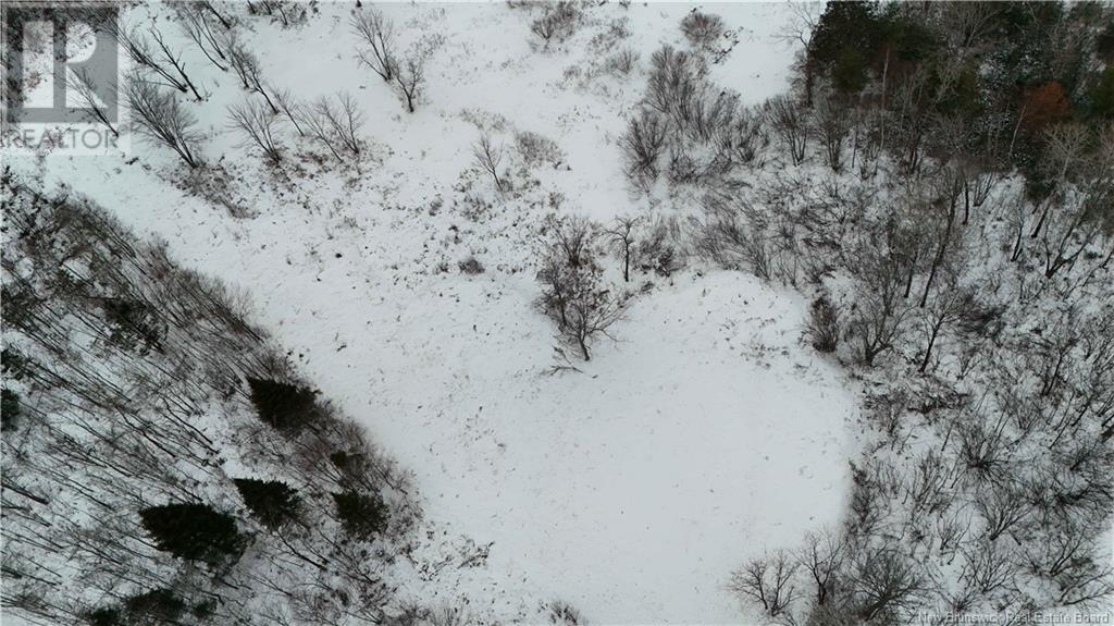 Lot 02-1 Slater Road, Maxwell, New Brunswick  E7N 2Z8 - Photo 40 - NB102955