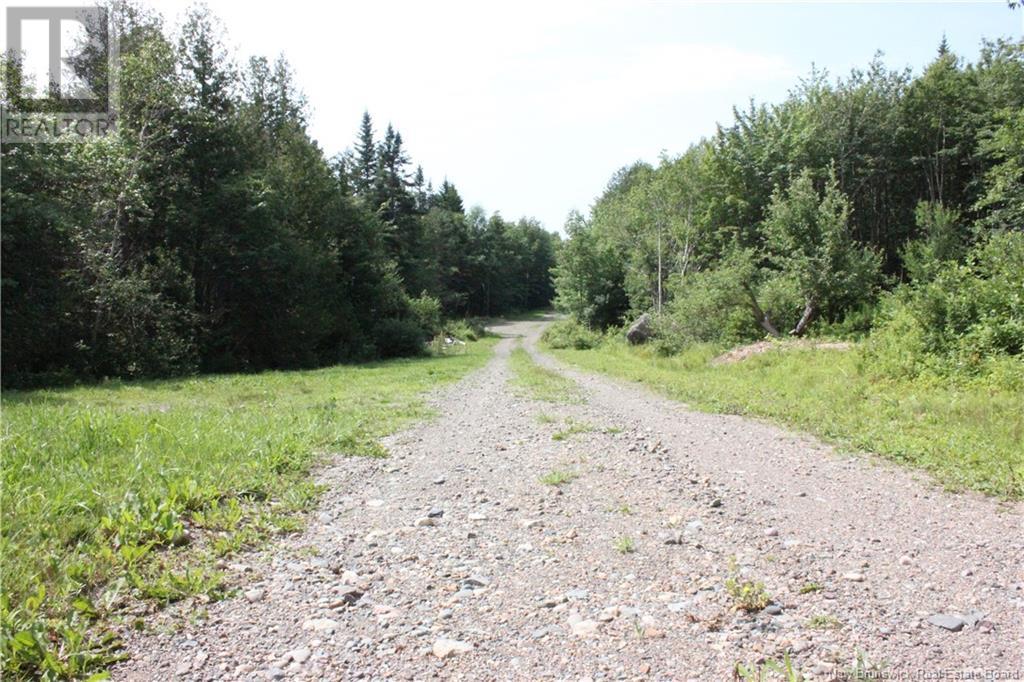 2331 Route 845, Bayswater, New Brunswick  E5S 1L4 - Photo 22 - NB103192