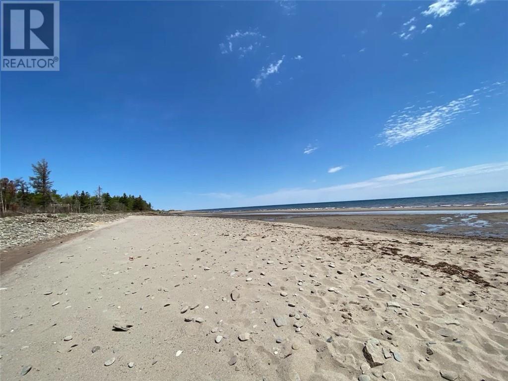 20 Mazerolle, Pointe-Sapin, New Brunswick  E9A 1V1 - Photo 10 - M161025