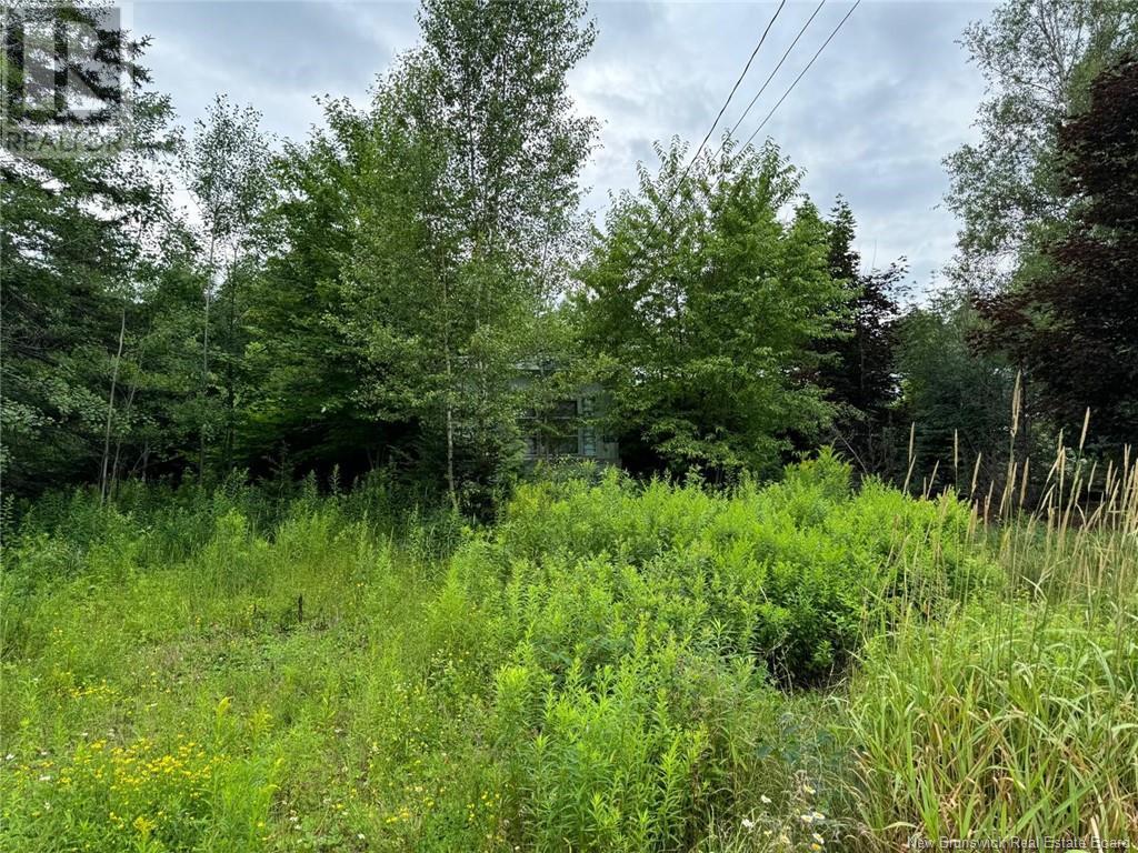 109 Painsec Junction Road, Lakeville, New Brunswick  E1H 1M9 - Photo 2 - M161059