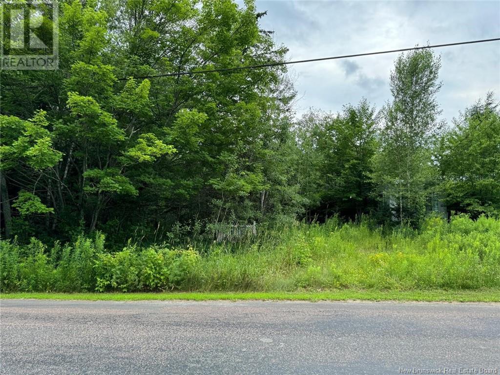 109 Painsec Junction Road, Lakeville, New Brunswick  E1H 1M9 - Photo 3 - M161059