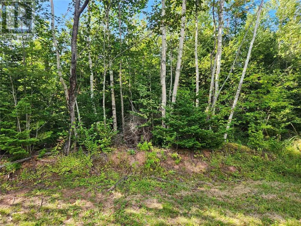 2 Chignecto Lane, Wood Point, New Brunswick  E4L 0A9 - Photo 2 - M161018