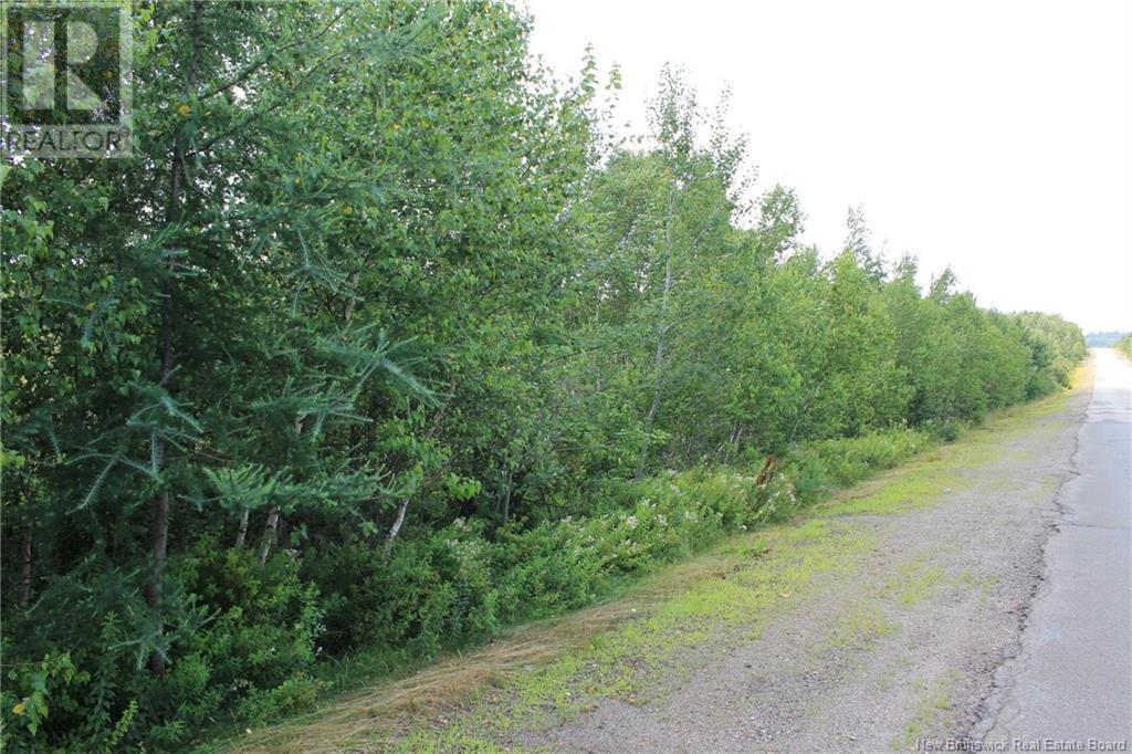 Lot 24-4 Route 695 (Bridge Dr), Cambridge-Narrows, New Brunswick  E4C 1Y3 - Photo 12 - NB103288