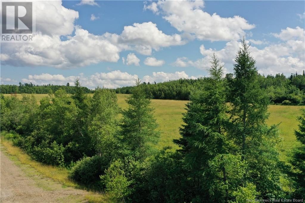 Lot 24-4 Route 695 (Bridge Dr), Cambridge-Narrows, New Brunswick  E4C 1Y3 - Photo 6 - NB103288