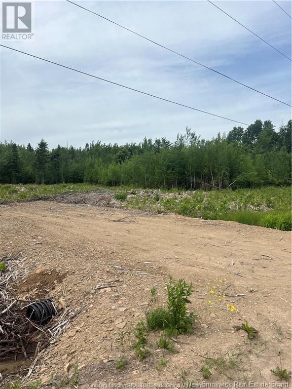 Lot 23-4 Hannay Road, Galloway, New Brunswick  E4W 2M4 - Photo 8 - M161086