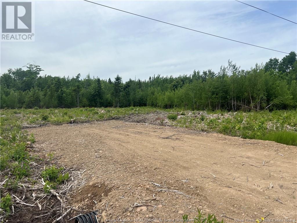 Lot 23-3 Hannay Road, Galloway, New Brunswick  E4W 2M4 - Photo 1 - M161084