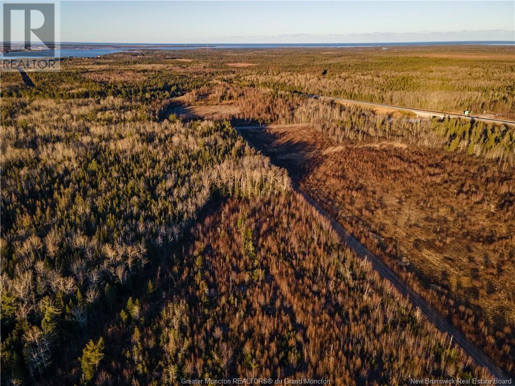 Lot 23-3 Hannay Road, Galloway, New Brunswick  E4W 2M4 - Photo 11 - M161084