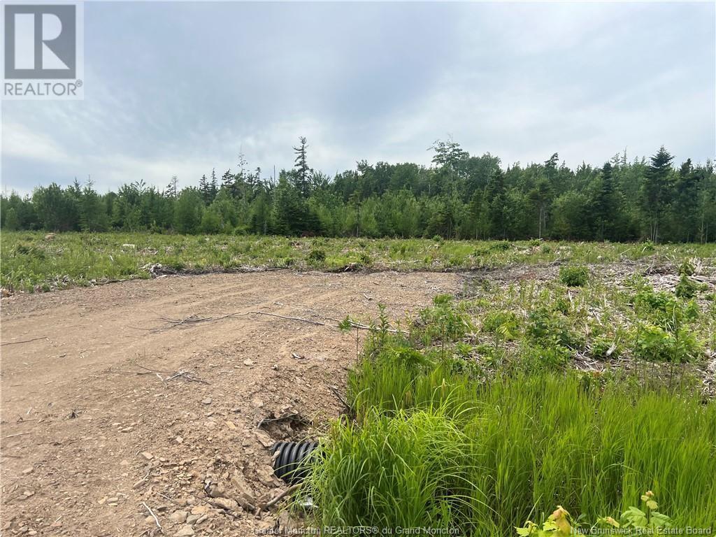 Lot 23-3 Hannay Road, Galloway, New Brunswick  E4W 2M4 - Photo 2 - M161084