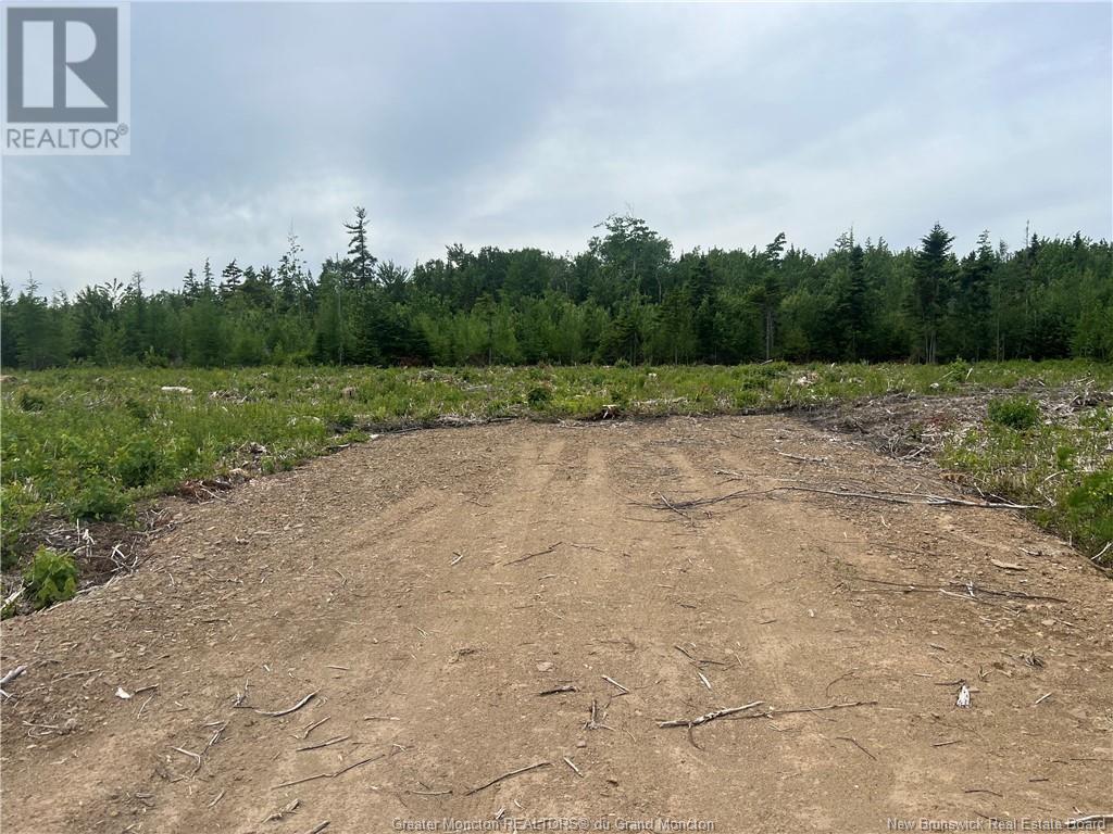 Lot 23-3 Hannay Road, Galloway, New Brunswick  E4W 2M4 - Photo 3 - M161084