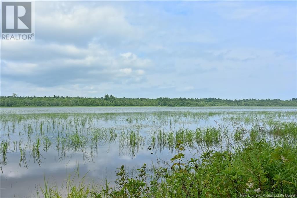 1805 Route 102, Upper Gagetown, New Brunswick  E5M 1N3 - Photo 4 - NB103321