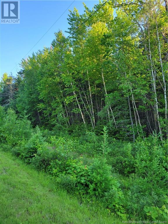 Lot 79-19 Morton Lane, Cumberland Bay, New Brunswick  E4A 3J3 - Photo 2 - NB103331