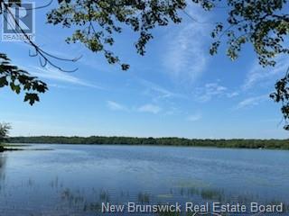 Lots Wegesegum Road, Chipman, New Brunswick  O0O 0O0 - Photo 1 - NB103333