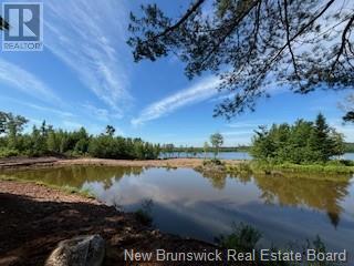 Lots Wegesegum Road, Chipman, New Brunswick  O0O 0O0 - Photo 10 - NB103333