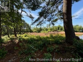 Lots Wegesegum Road, Chipman, New Brunswick  O0O 0O0 - Photo 12 - NB103333