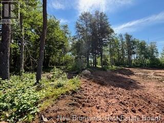 Lots Wegesegum Road, Chipman, New Brunswick  O0O 0O0 - Photo 13 - NB103333