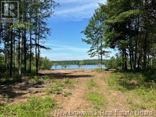 Lots Wegesegum Road, Chipman, New Brunswick  O0O 0O0 - Photo 16 - NB103333