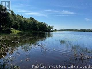 Lots Wegesegum Road, Chipman, New Brunswick  O0O 0O0 - Photo 3 - NB103333