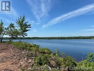 Lots Wegesegum Road, Chipman, New Brunswick  O0O 0O0 - Photo 8 - NB103333