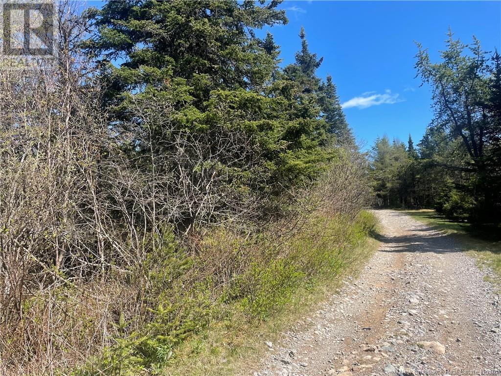 000 Old Black River Road, Saint John, New Brunswick  E2J 4Y5 - Photo 1 - NB103338