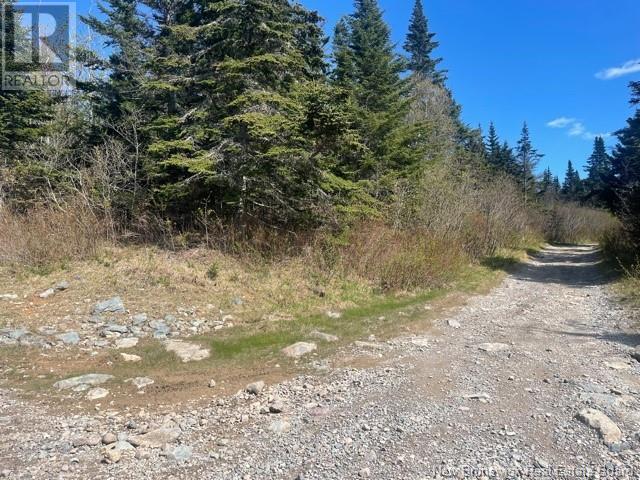 000 Old Black River Road, Saint John, New Brunswick  E2J 4Y5 - Photo 2 - NB103338