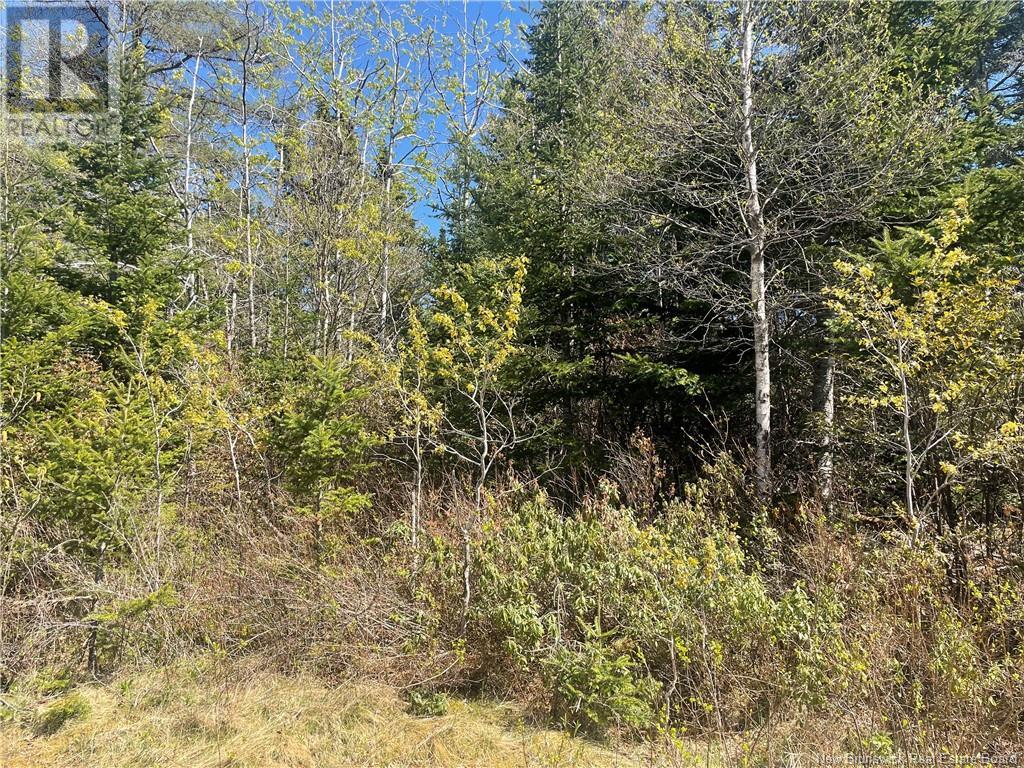 000 Old Black River Road, Saint John, New Brunswick  E2J 4Y5 - Photo 3 - NB103338