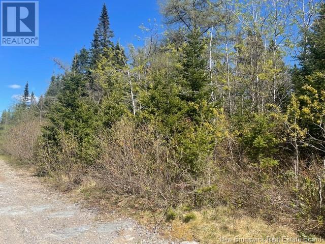 000 Old Black River Road, Saint John, New Brunswick  E2J 4Y5 - Photo 4 - NB103338