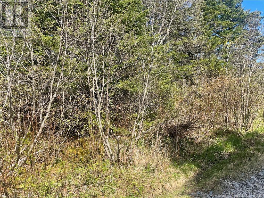 000 Old Black River Road, Saint John, New Brunswick  E2J 4Y5 - Photo 5 - NB103338