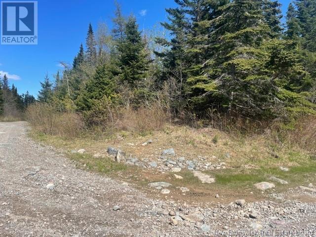 000 Old Black River Road, Saint John, New Brunswick  E2J 4Y5 - Photo 8 - NB103338