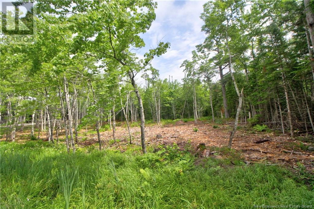 Lot 23-2 California Road, Galloway, New Brunswick  E4W 2K2 - Photo 2 - M161121