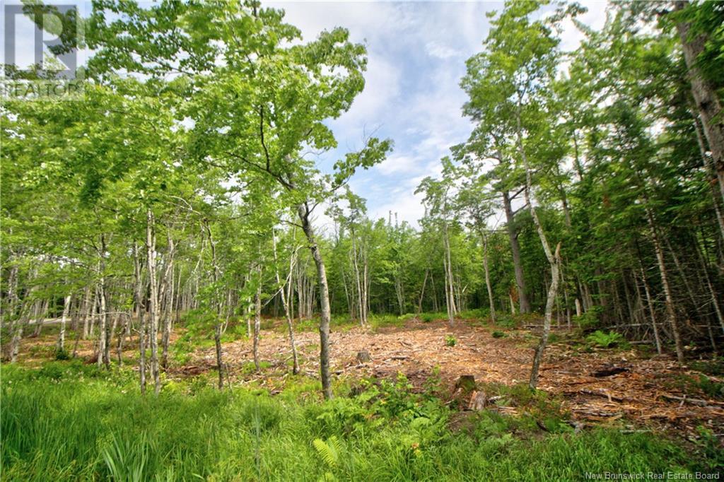 Lot 23-2 California Road, Galloway, New Brunswick  E4W 2K2 - Photo 3 - M161121