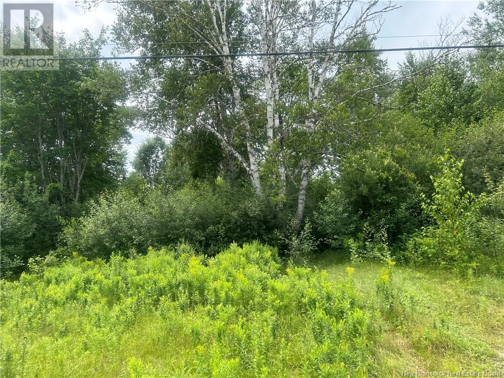 2608 Route 108, Renous, New Brunswick  E9E 2N4 - Photo 3 - NB103356