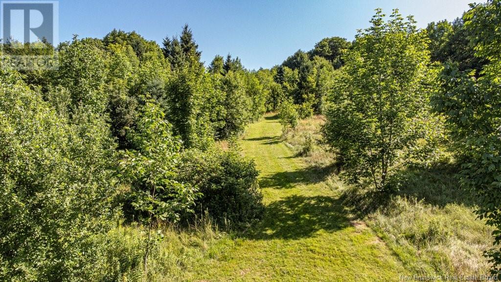 3752 Route 105, Bear Island, New Brunswick  E6L 1J9 - Photo 48 - NB103151