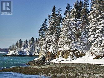 Narrows Road, Welshpool, New Brunswick  E5E 1C1 - Photo 20 - NB102768