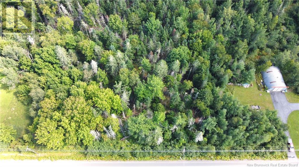 Lot 23-4 Route 127, Chamcook, New Brunswick  E5B 3A2 - Photo 3 - NB103353