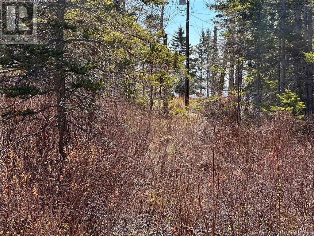 Lot De la Grande Île Lane, pointe-alexandre, New Brunswick