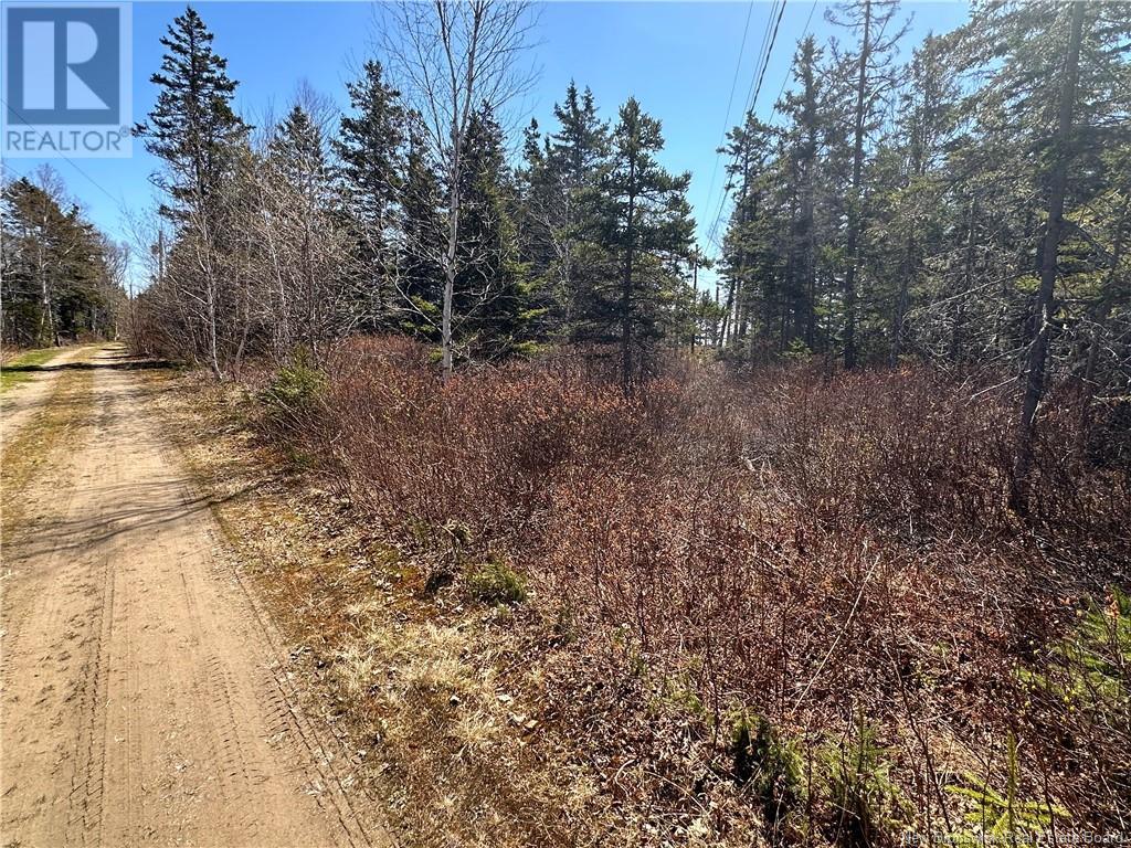 Lot De La Grande Île Lane, Pointe-Alexandre, New Brunswick  E8T 3R7 - Photo 2 - NB103505