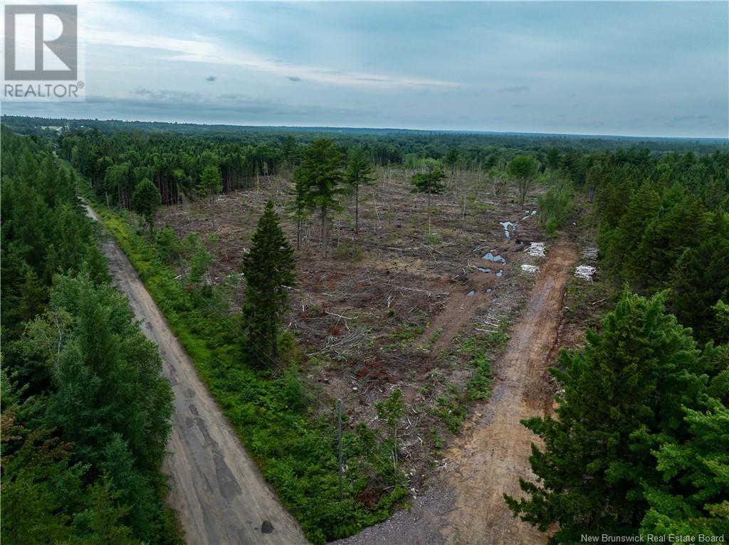 Lot Hopkins Road, Gaspereau Forks, New Brunswick  E4A 2E6 - Photo 11 - NB103515