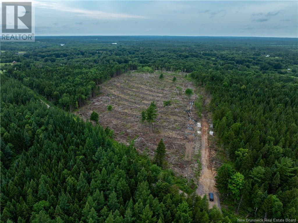 Lot Hopkins Road, Gaspereau Forks, New Brunswick  E4A 2E6 - Photo 12 - NB103515