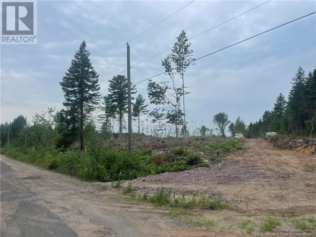 Lot Hopkins Road, Gaspereau Forks, New Brunswick  E4A 2E6 - Photo 13 - NB103515