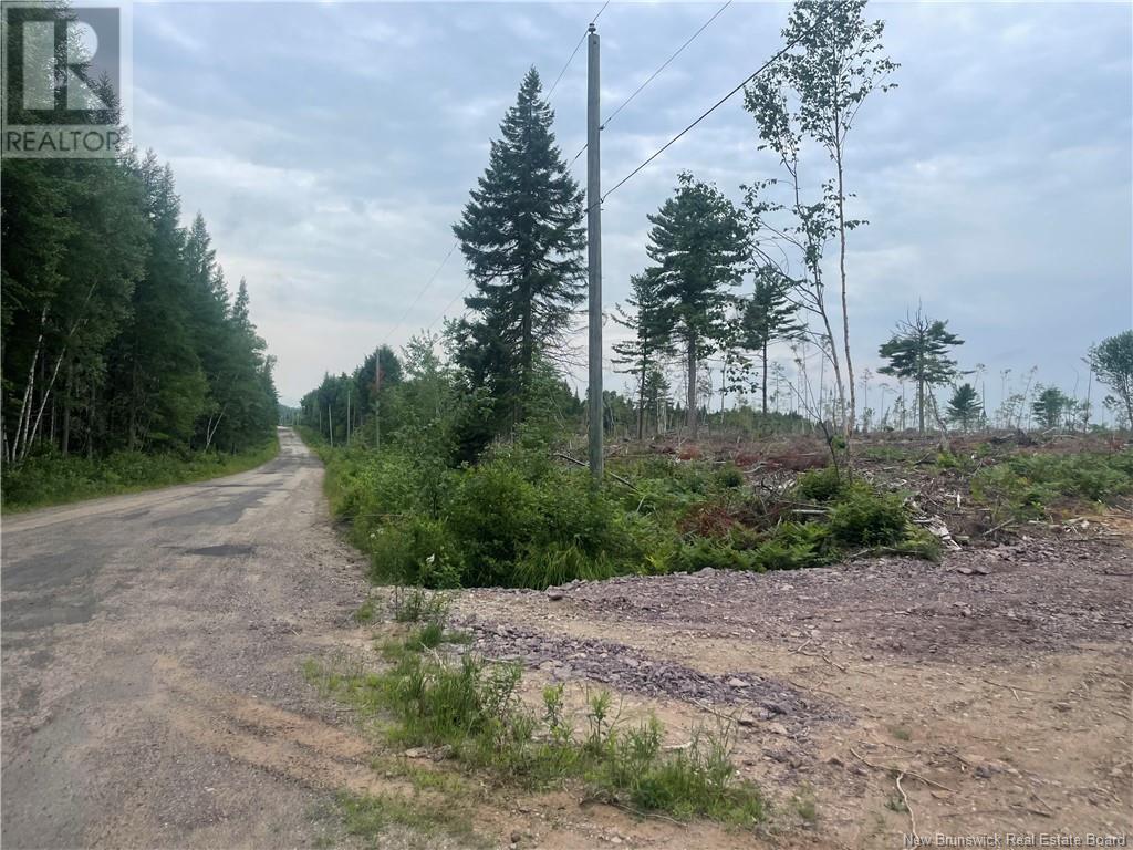 Lot Hopkins Road, Gaspereau Forks, New Brunswick  E4A 2E6 - Photo 14 - NB103515