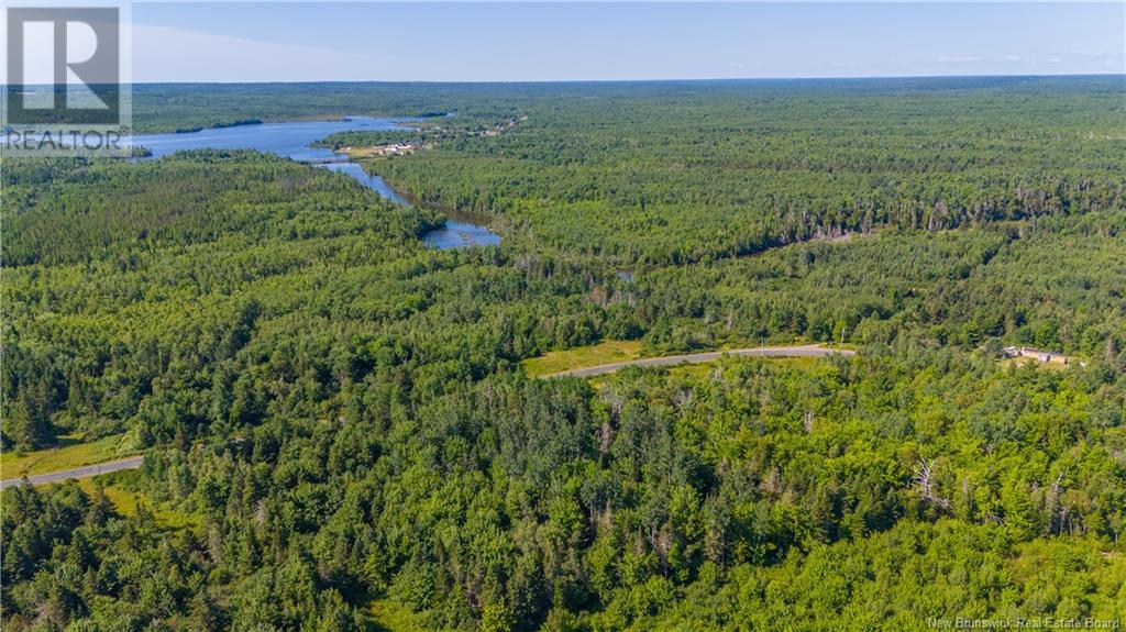 Lot Lavigne Road, Maltempec, New Brunswick  E8P 1M8 - Photo 7 - NB103565