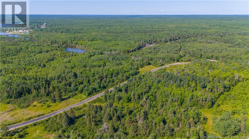 Lot Lavigne Road, Maltempec, New Brunswick  E8P 1M8 - Photo 8 - NB103565