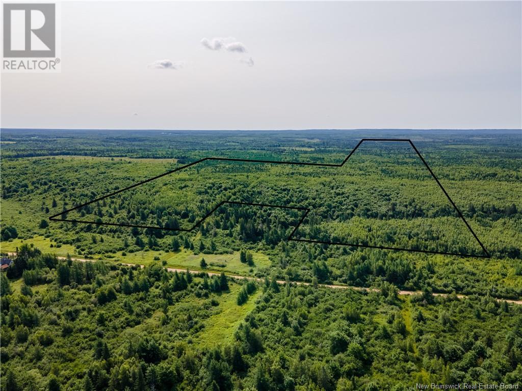 Lot Cormier Settlement Road, Dundas, New Brunswick  E4T 3G7 - Photo 10 - M161158