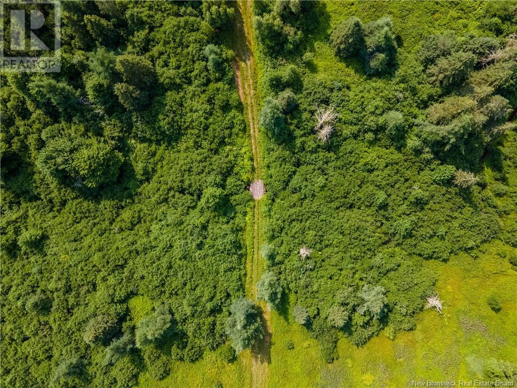 Lot Cormier Settlement Road, Dundas, New Brunswick  E4T 3G7 - Photo 2 - M161158