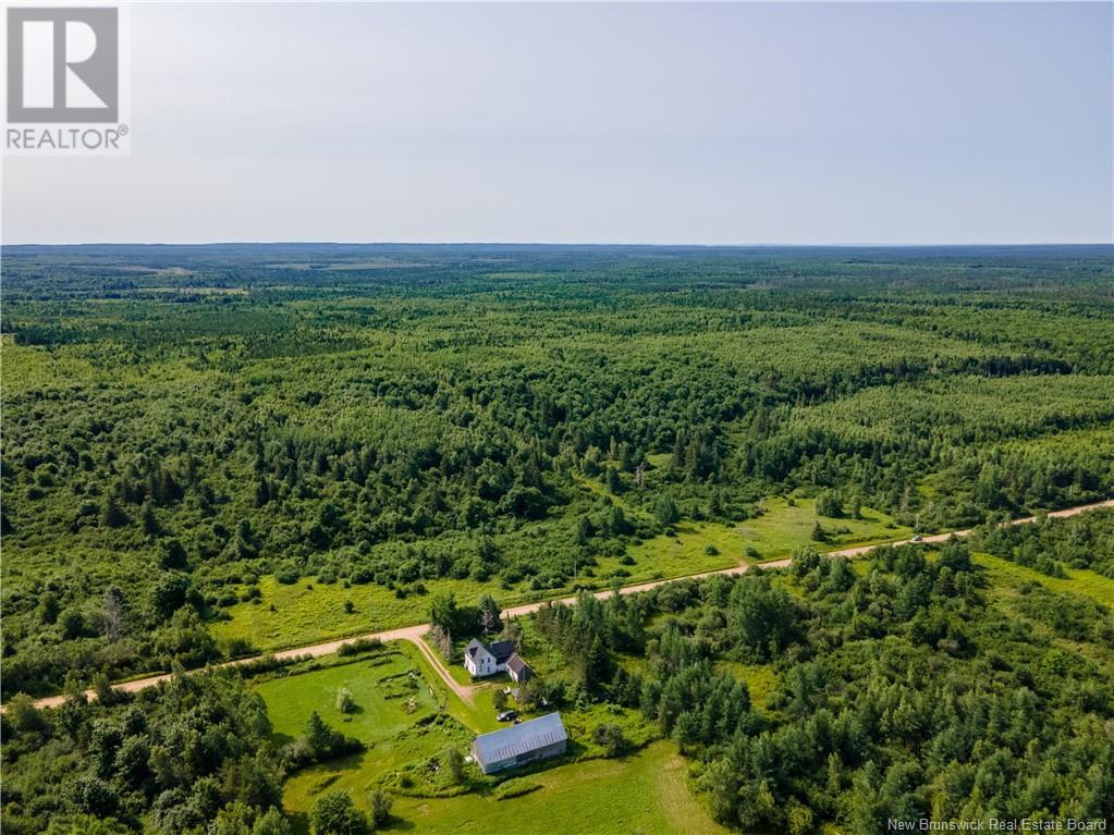 Lot Cormier Settlement Road, Dundas, New Brunswick  E4T 3G7 - Photo 5 - M161158