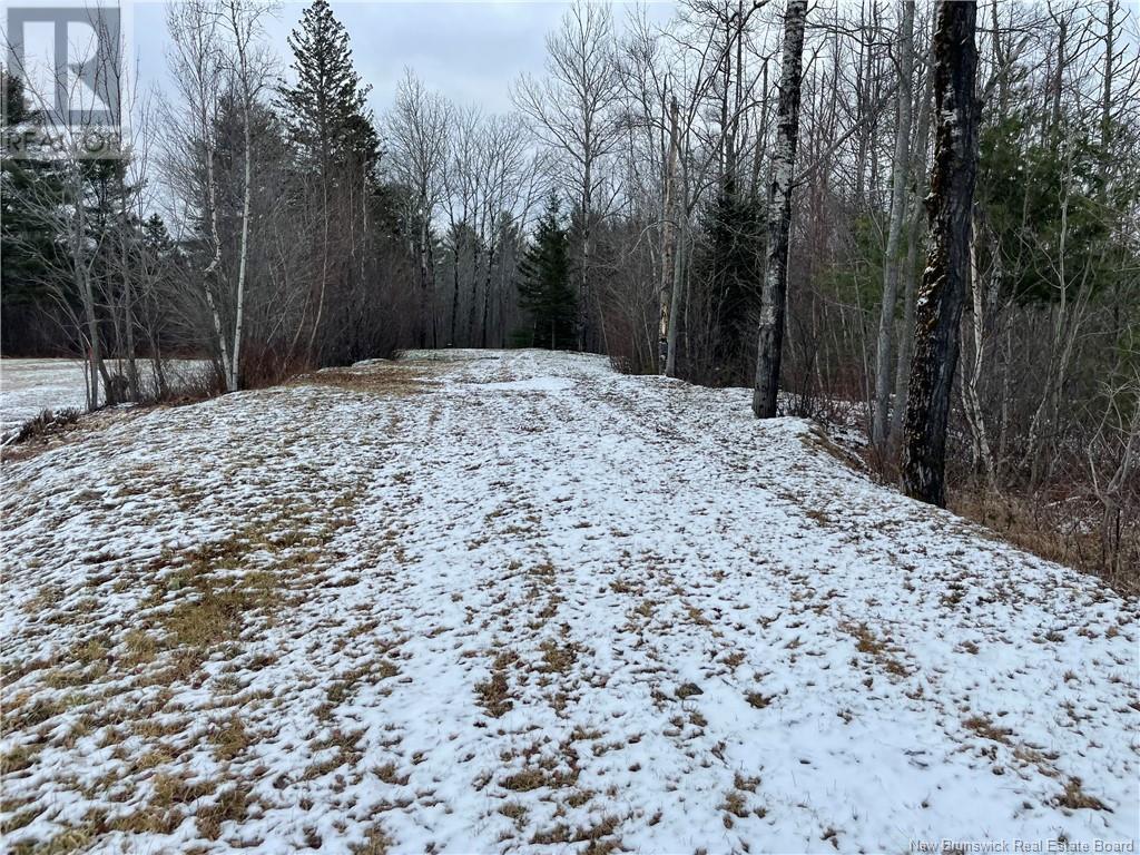 Lot Pleasant Drive, Minto, New Brunswick  E4B 3W1 - Photo 6 - NB103580